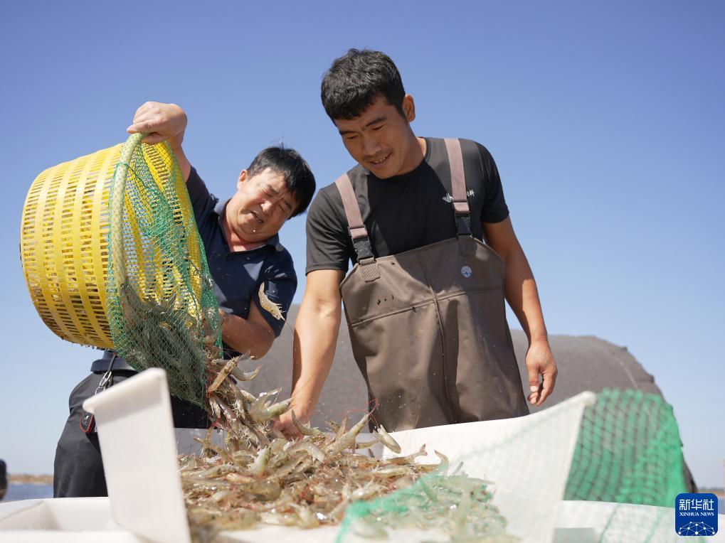 皇冠注册送